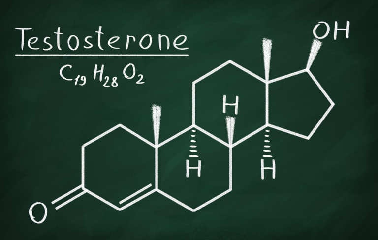 Miedo y Testosterona